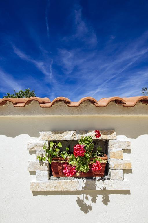 Villa Olive House Zadar Exterior foto